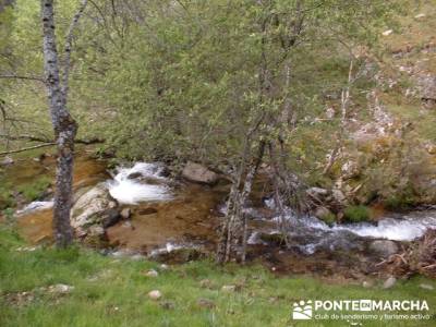 Cascadas del Purgatorio - Rutas Senderismo; ruta alto tajo; camino de santiago en grupo